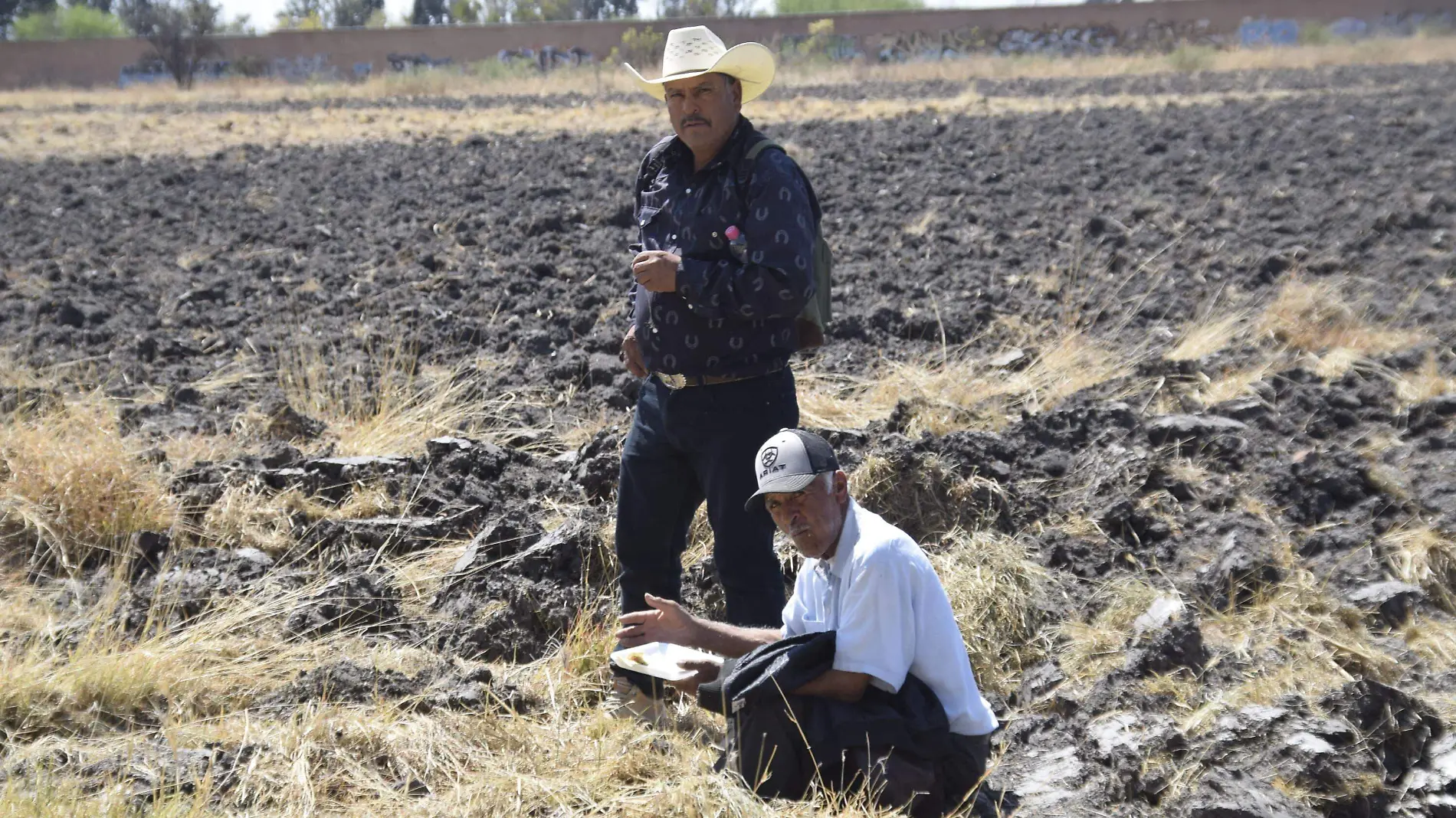 campesino (2)